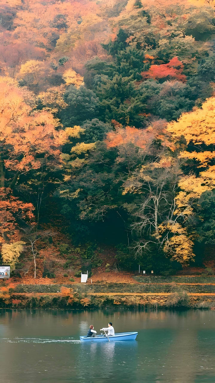 美剧《纸牌屋》